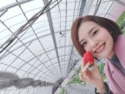 北村農園の写真2