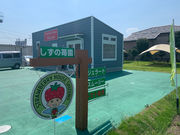 しずの苺園の写真4