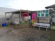 おくやま果寿園の写真4