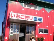 島野農園の写真3