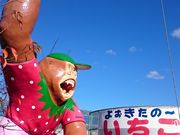 島野農園の写真2