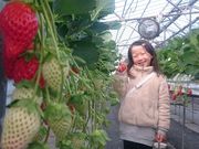 島野農園の写真4