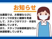 町田いちご狩り農園の写真3