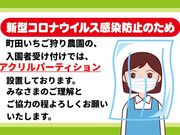 町田いちご狩り農園の写真4