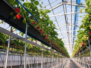 FarmersConciergeの写真2