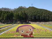 一般社団法人但東シルクロード観光協会の写真2