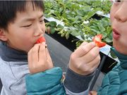 中川農園の写真3