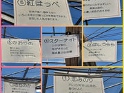 川名農園の写真4