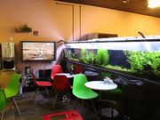 アクアフォレスト -水の森-の写真4