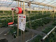 関根農園の写真4