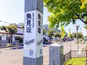 魚見坂の写真1