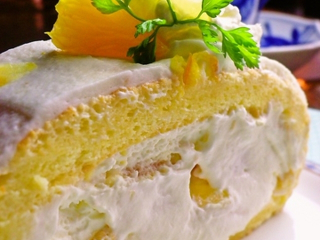 サローネ デル カフェ ハットリ Salone del Cafe Hattoriの写真1