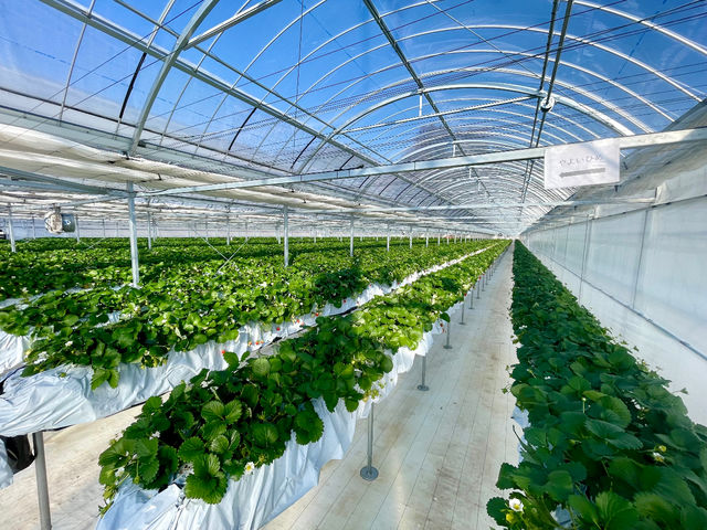 FARM LAB