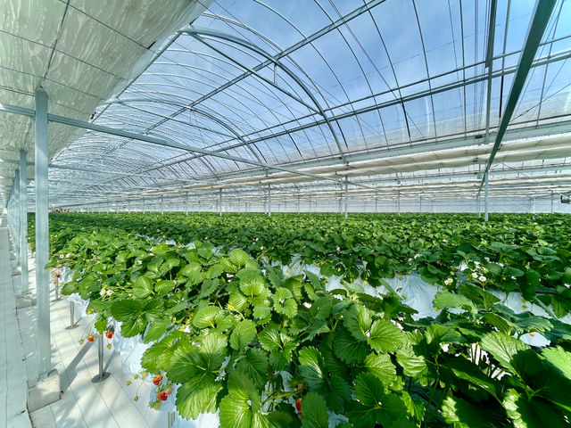 FARM LAB