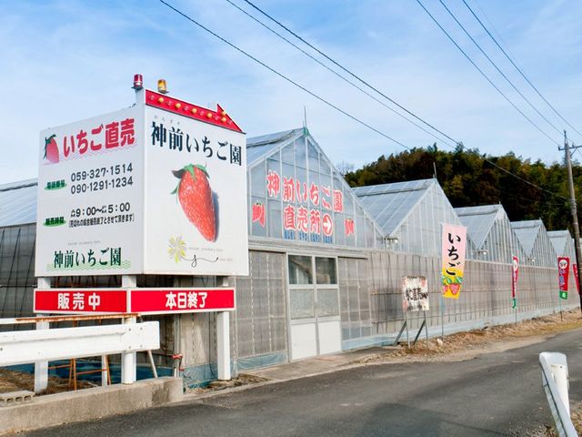 かんざきいちご園