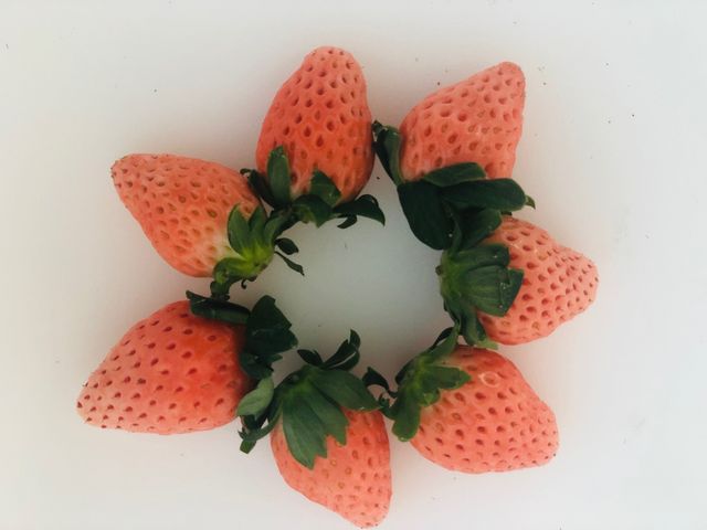 かんざきいちご園