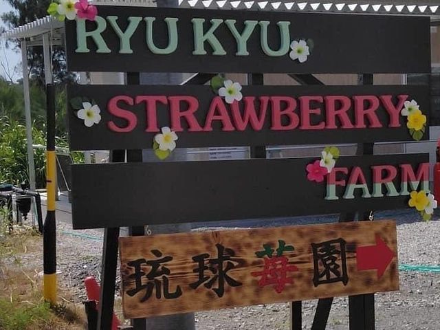 看板が目印です!_琉球苺園