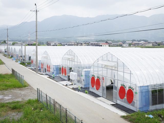 小杉豊農園