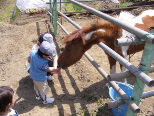 将門園