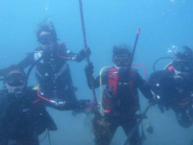 4人でライセンス同時合格!みなさんとっても優秀でした♪_DIVING SHOP SEVEN7