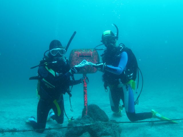 平日は女性ダイバーさんが多いですね。年中無休でやってますよ♪_DIVING SHOP SEVEN7