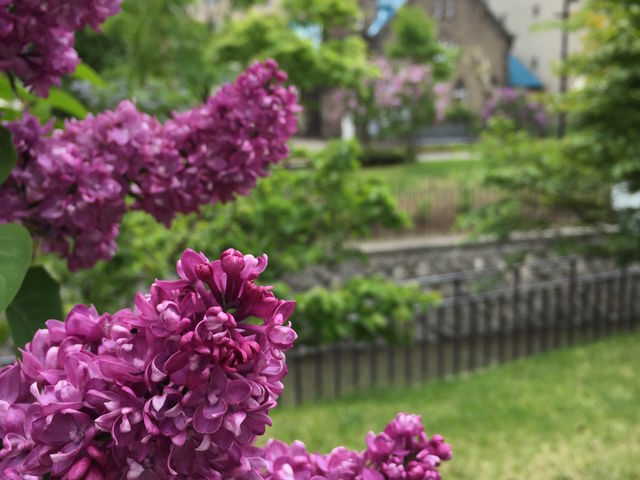 創成川公園
