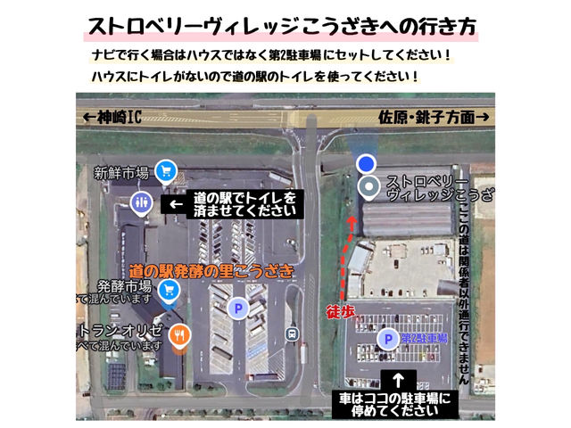 ストロベリーヴィレッジこうざき