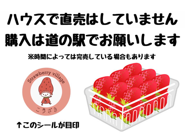ストロベリーヴィレッジこうざき