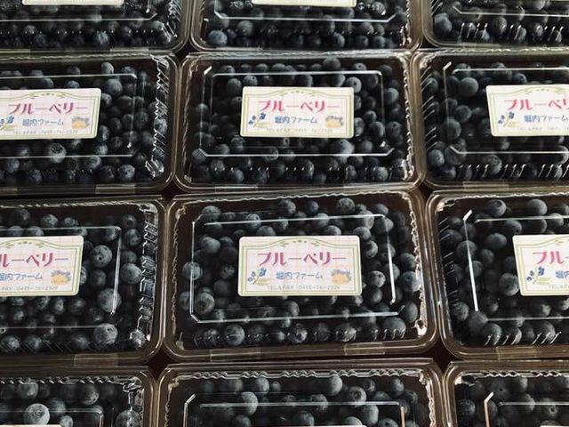 販売は3日前までの予約制 配送はしておりません_堀内ファーム