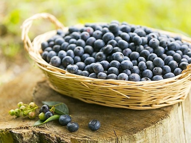 皮ごと食べるものだから無農薬・無化学肥料の安心安全なものを_堀内ファーム
