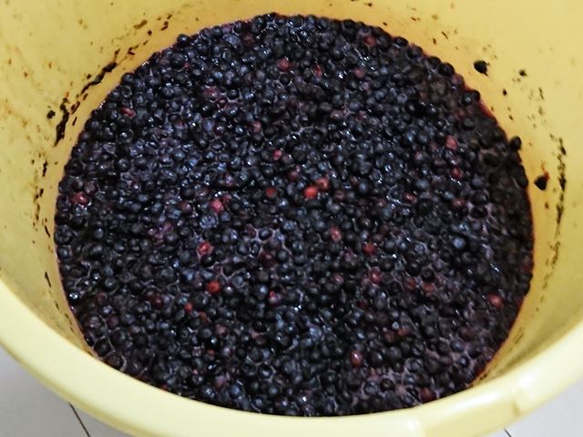 酵素ジュースを作る方にも大好評_堀内ファーム