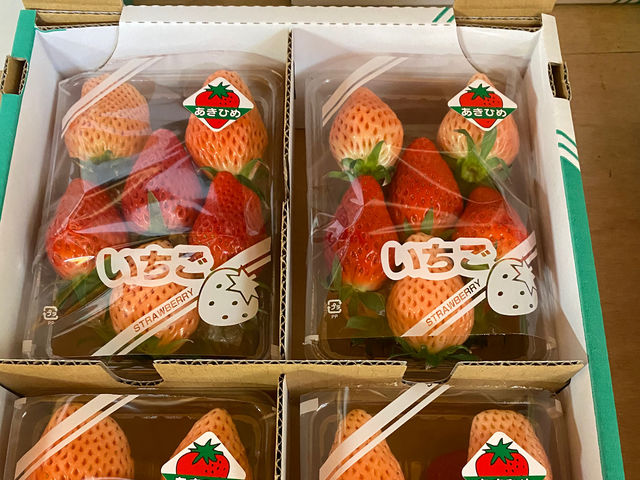 徳江いちご農園