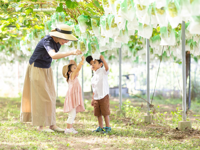 ご家族みんなで楽しめます♪_フルトリエ 中村果樹園