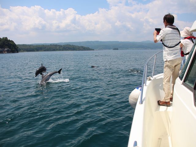 和倉温泉からは和倉港から船に乗り、ゴージャスなクルーザー船で行くイルカウォッチング体験。_海とオルゴール