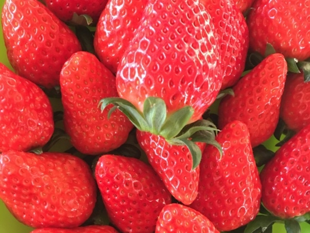 Strawberry Hunt