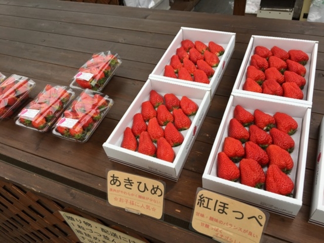 Strawberry Hunt