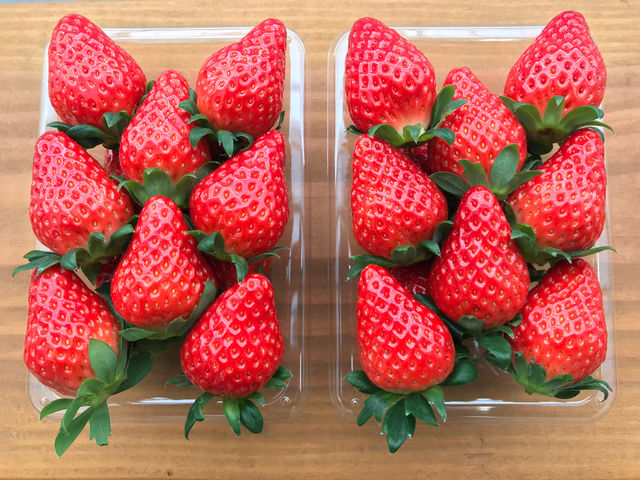 小江戸BERRY