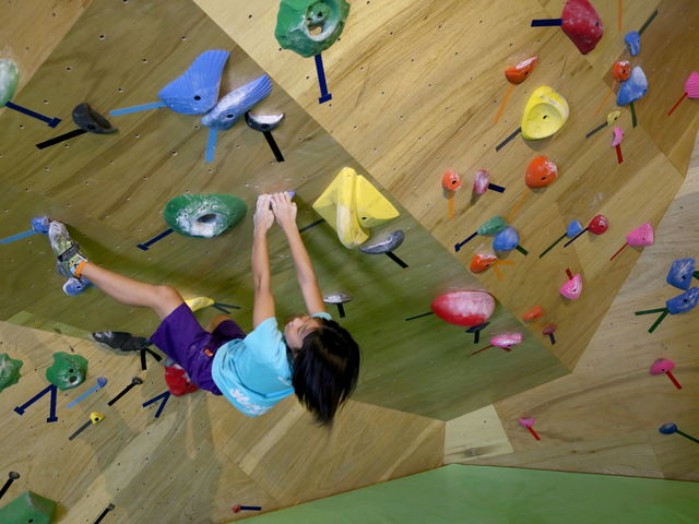 STUMP CLIMBING