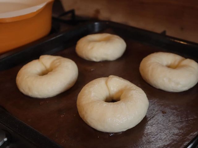 焼く前に茹でたベーグル_パン教室リヒト
