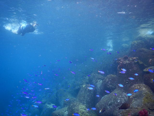 でぃーぷまりん深島