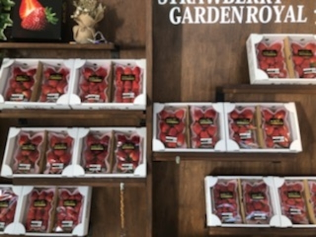 朝採れたて苺の直売所も併設しております。_STRAWBERRY GARDEN ROYAL