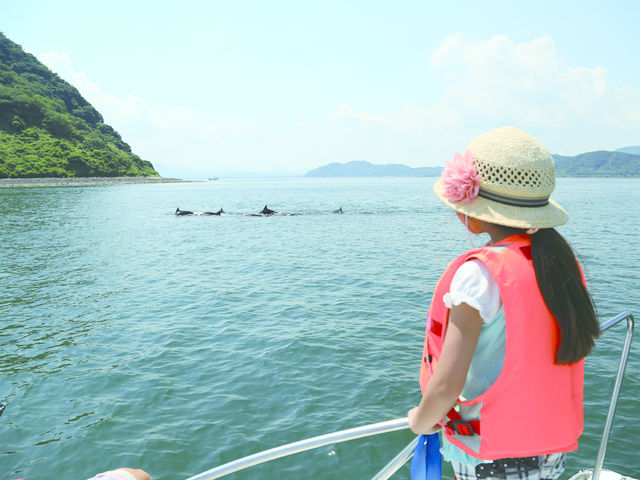 錦江湾クルーズ