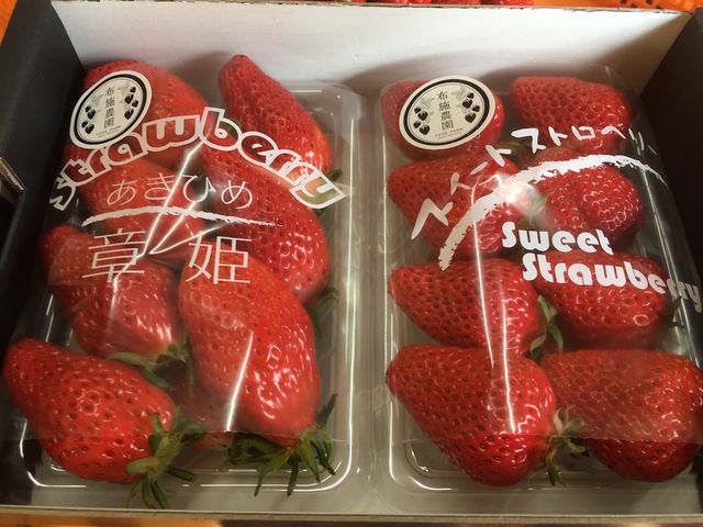 布施農園