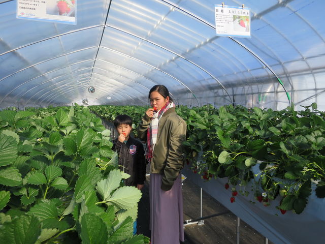 Berry Farm TETRA