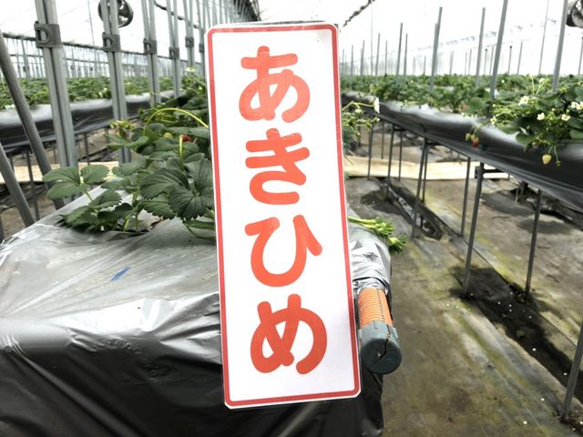むらた農園