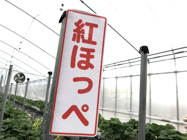 むらた農園