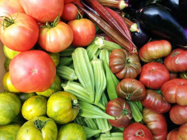 時期によって、無農薬で育った野菜の販売もしております。_八百楽農園