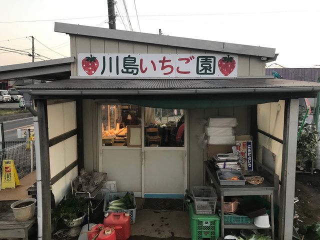 川島いちご園