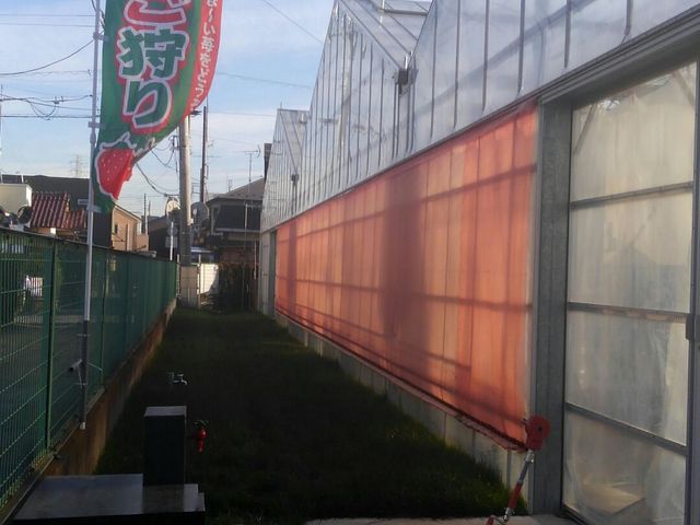 河本ファームいちご屋