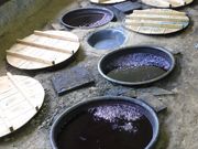 藍華田中絣工房の写真4